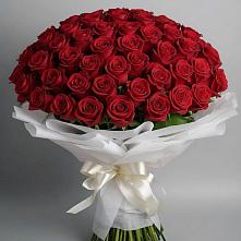 Букет 101 Красная роза Блэк Мэджик в Непецино