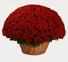 Премиум букет из: Розы в Непецино